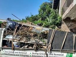 Best Basement Cleanout  in St Augustine, FL